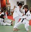 Image result for Mixed Martial Arts Kids
