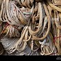 Image result for Tangled Up Color Cords