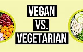 Image result for Vegan vs Normal Diet