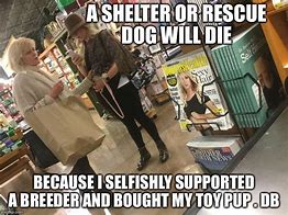 Image result for Dog Rescues Baby Meme