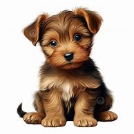 Image result for Cutest Baby Puppy in the World