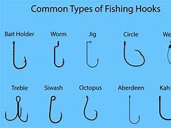 Image result for Best Method for Fishing Bait Hook Clips