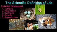 Image result for Life Science Level 39
