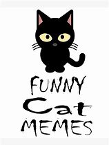 Image result for Hehe Cat Meme