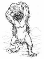 Image result for Yeti Sketch