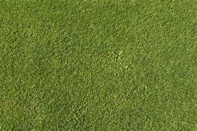 Image result for 2D Grass Texture