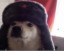 Image result for Russian Dog Meme 1080X1080