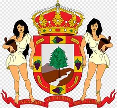 Image result for Coat of Arms Flag Supporter