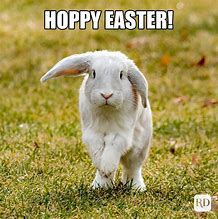 Image result for Inappropriate Easter Memes