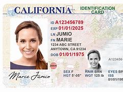 Image result for Unexpired Government-Issued ID Backwards