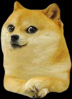 Image result for Baby Doge Meme Template