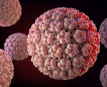 Image result for HP Papillomavirus