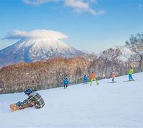 Image result for Hokkaido Winter Activities
