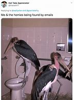 Image result for Vulture and Outhouse Meme