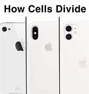 Image result for iPhone Camera Mitosis