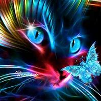 Image result for Neon Red Cat