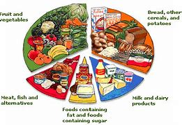 Image result for 5 Basic Food Groups