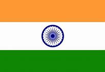 Image result for India Cricket Flag