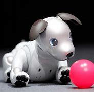 Image result for Dog Robot Box