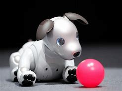 Image result for Pet Shop Robot