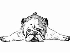 Image result for Bulldog Clip Art Black and White