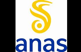 Image result for anas�