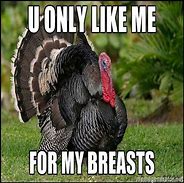 Image result for Too Much Turkey Meme