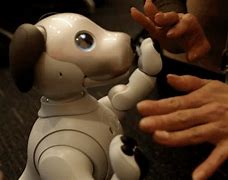 Image result for Sony Aibo Original