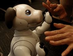 Image result for Aibo 3D Print