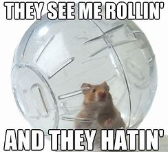 Image result for They See Me Rollin Hamster Meme