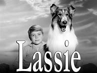Image result for "Lassie TV Series"