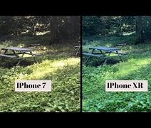 Image result for iPhone 8 vs XR Camera