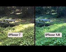 Image result for iPhone XR vs 11 Yellow