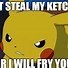 Image result for pikachu memes pokemon