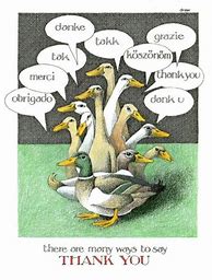 Image result for Thank You Duck Meme