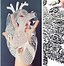 Image result for Amazing Paper Cut Outs