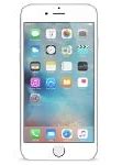 Image result for iPhone 6 Plus Pics