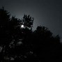 Image result for Astrophotography with iPhone and Telescope