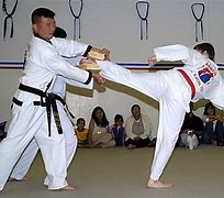 Image result for Most Dangerous Type of Martial Arts