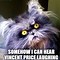 Image result for Frazzled Cat Meme