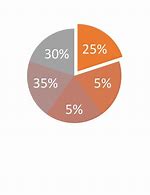Image result for Pie-Chart 75 25