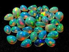 Image result for Opal Pictures