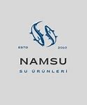 Image result for Namsu Panda Logo