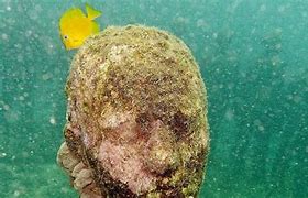 Image result for Items Found Underwater