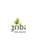 Image result for griba
