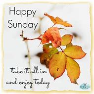 Image result for Happy Sunday Fall Apple's