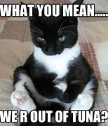 Image result for Tuna Cat Meme