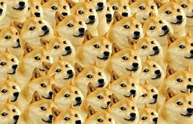 Image result for Doge Wallpaper for PC