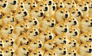 Image result for Wallpaper Laptop Doge