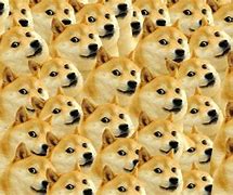 Image result for Doge Desktop Wallpaper